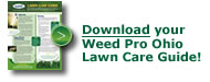 WeedProGuide